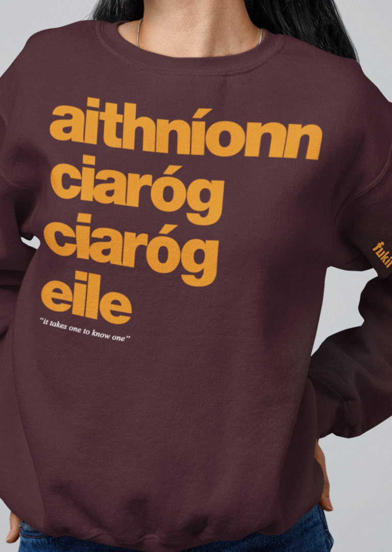 fukil aithníonn ciaróg sweatshirt