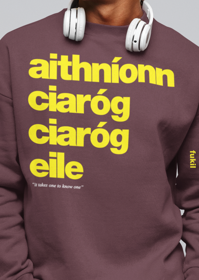 fukil aithníonn ciaróg sweatshirt