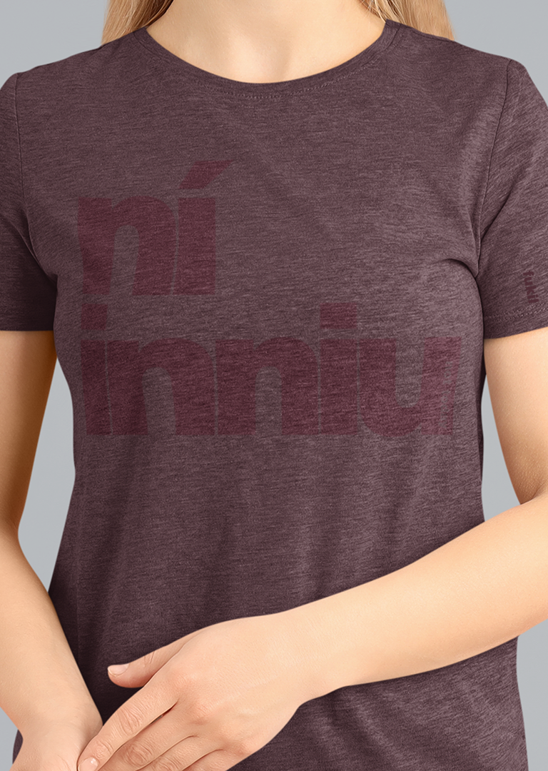 fukil ní inniu t-shirt