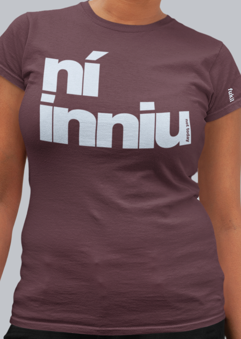 fukil ní inniu t-shirt