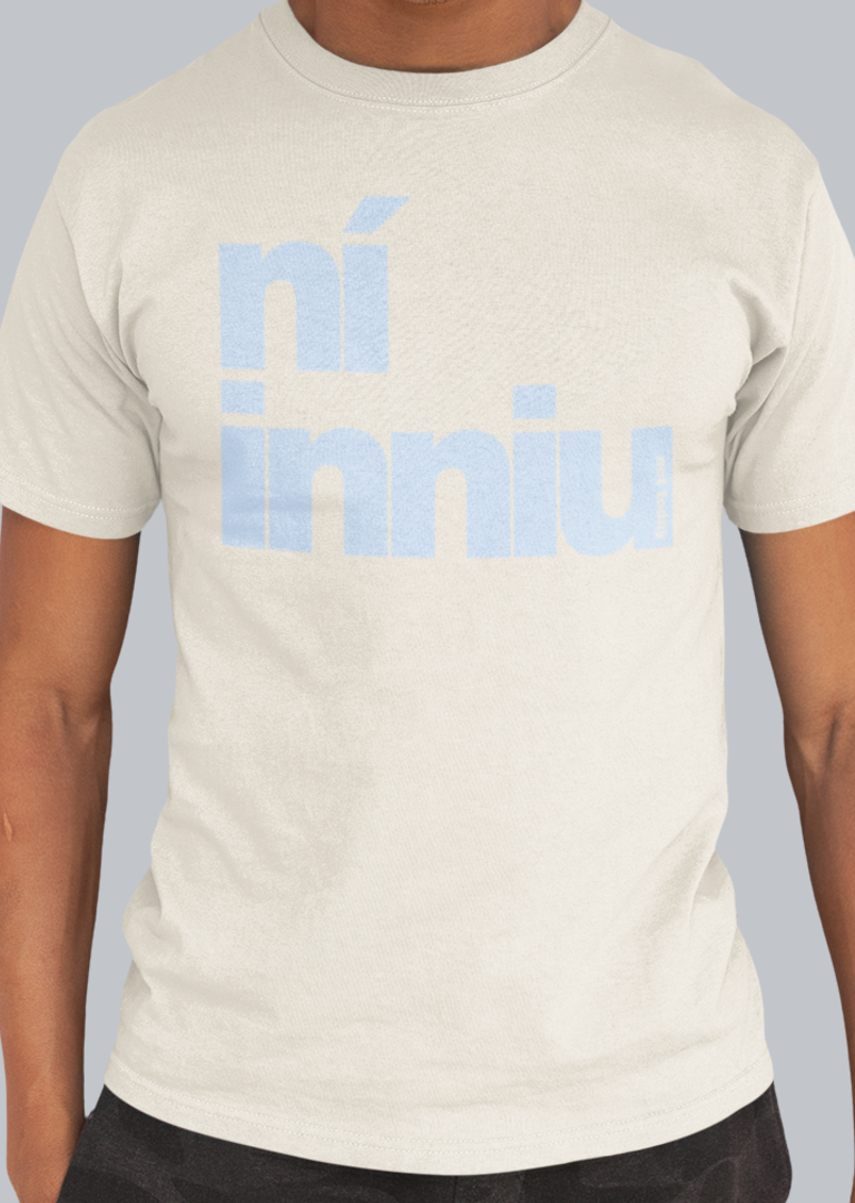fukil ní inniu t-shirt