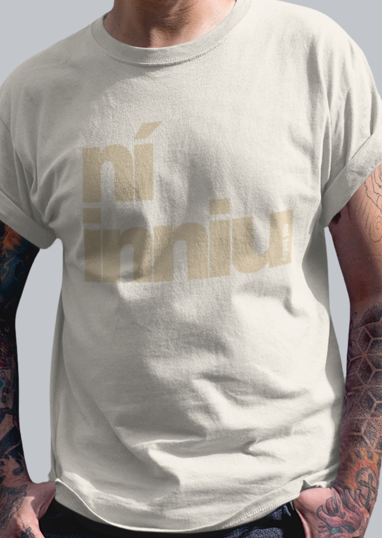 fukil ní inniu t-shirt