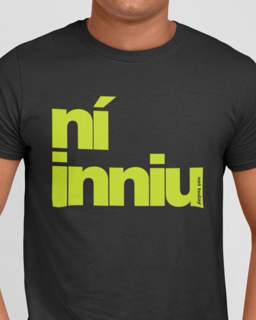 fukil ní inniu t-shirt