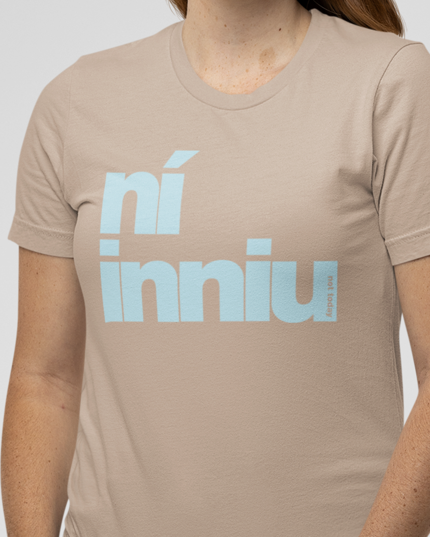 fukil ní inniu t-shirt