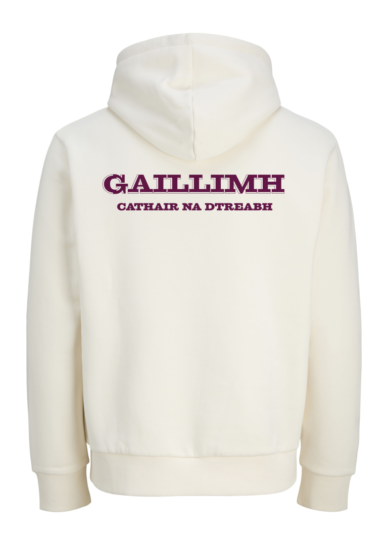 GANZEE Gaillimh centred crest hoodie