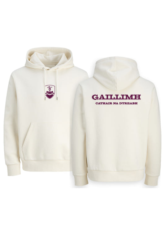 GANZEE Gaillimh centred crest hoodie