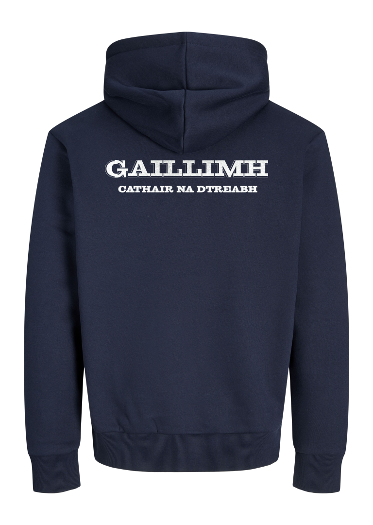 GANZEE Gaillimh centred crest hoodie