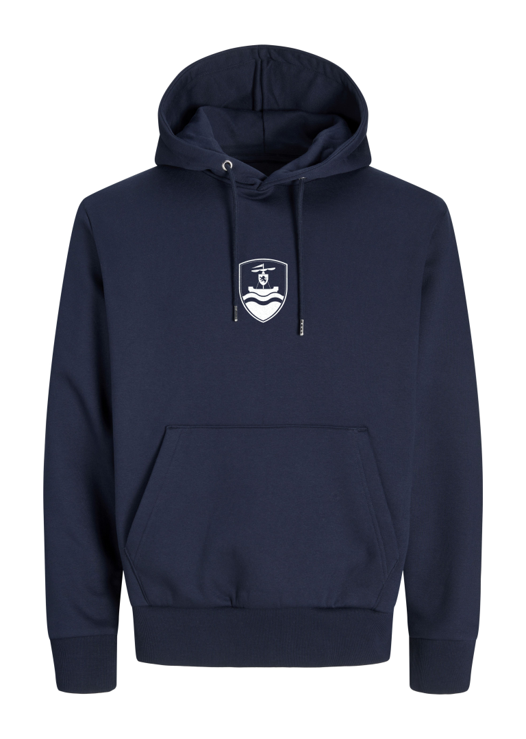 GANZEE Gaillimh centred crest hoodie