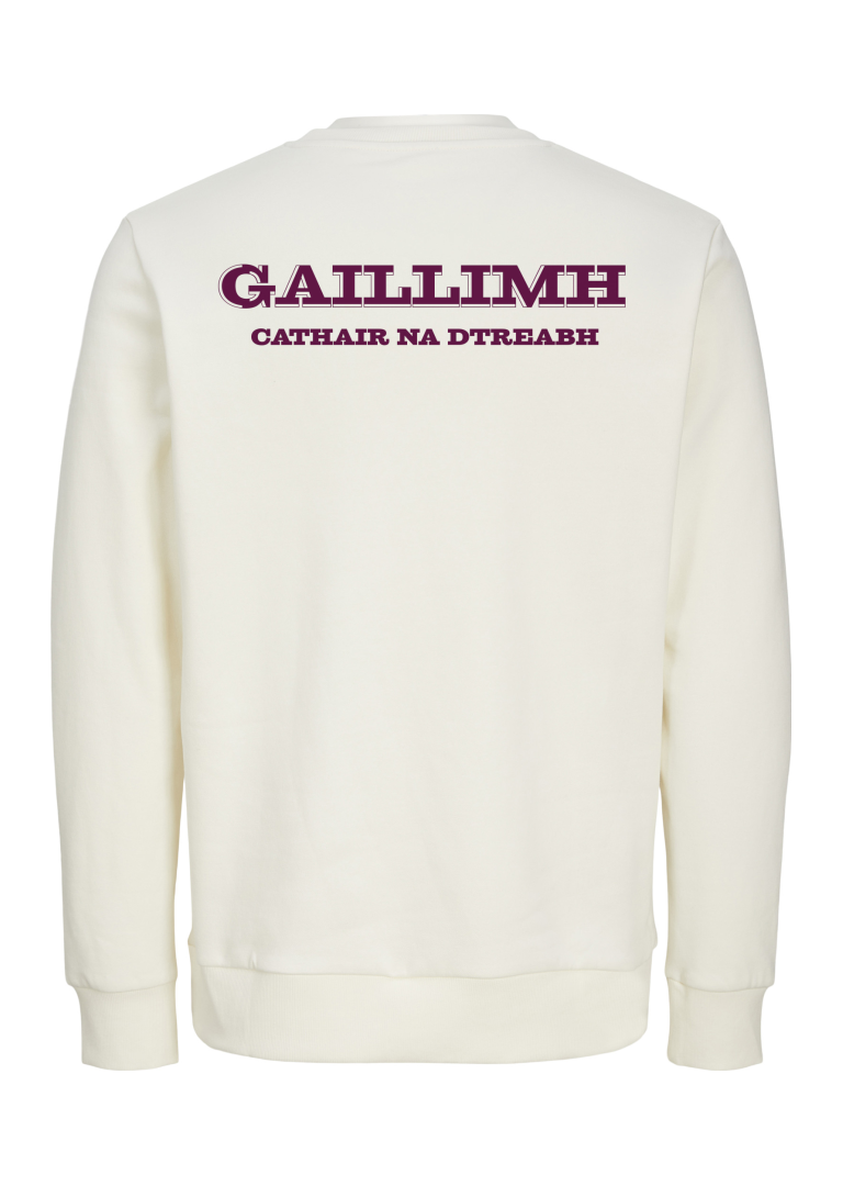 GANZEE Gaillimh centred crest sweatshirt