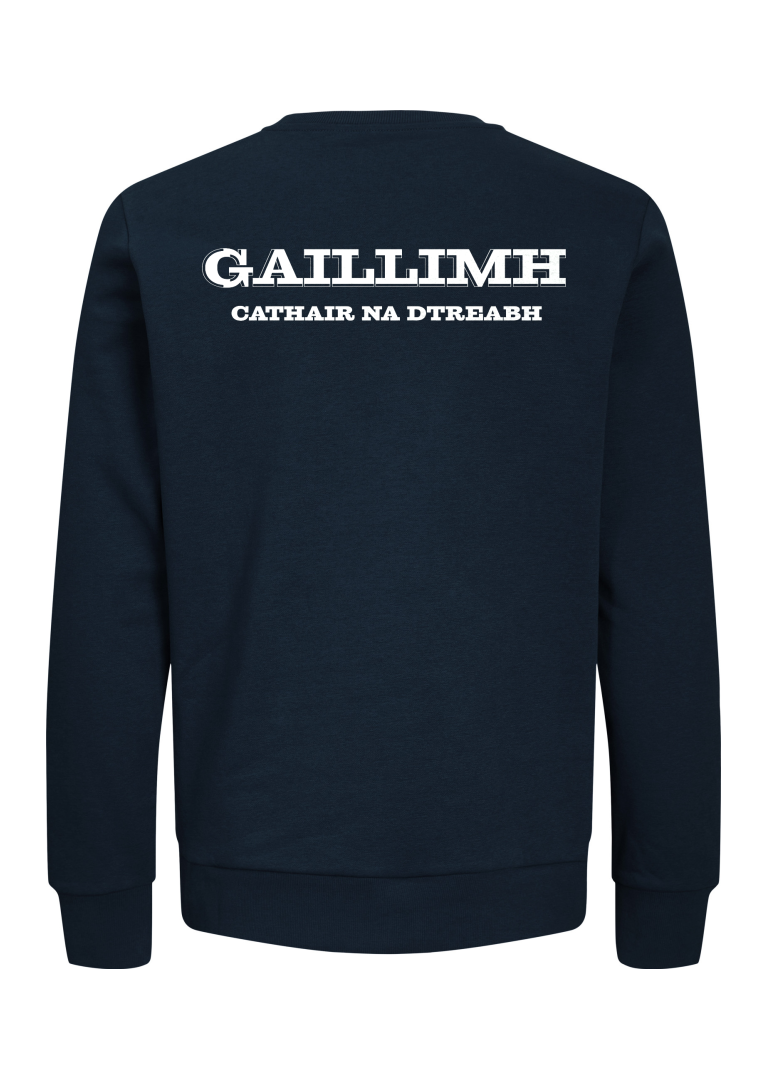 GANZEE Gaillimh centred crest sweatshirt