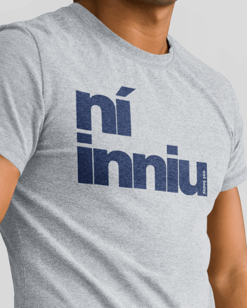 fukil ní inniu t-shirt