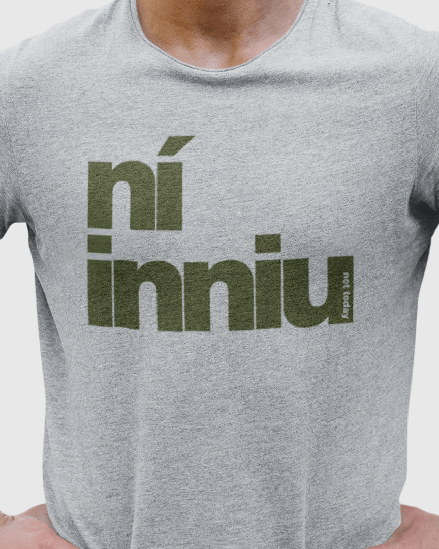 fukil ní inniu t-shirt