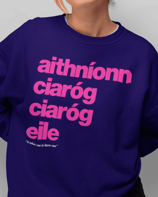 fukil aithníonn ciaróg sweatshirt