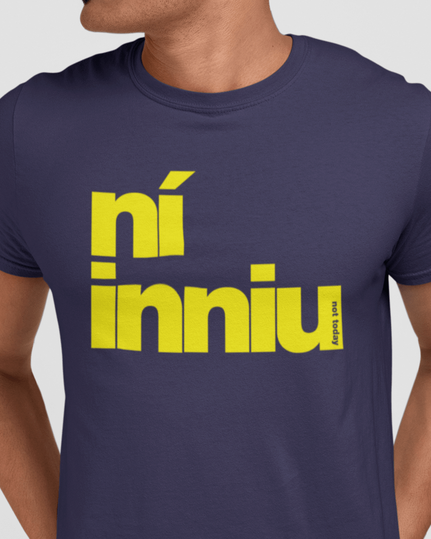 fukil ní inniu t-shirt