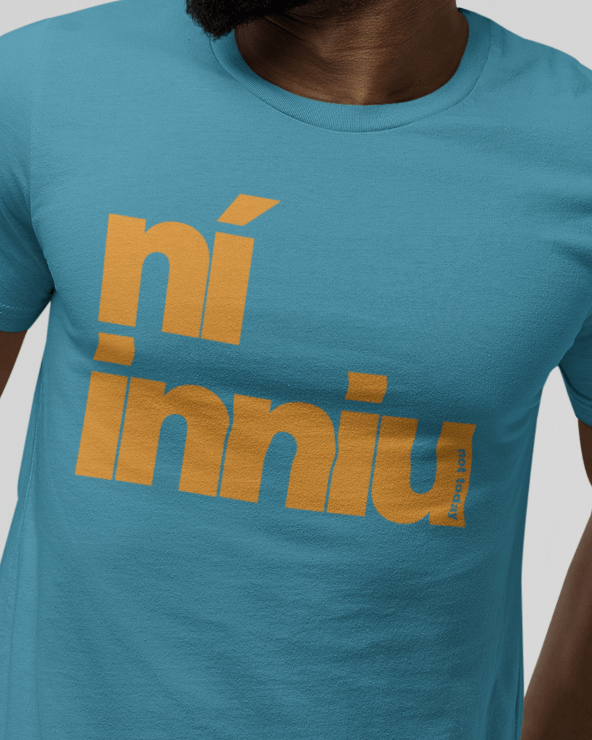 fukil ní inniu t-shirt